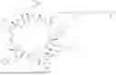 Fig. 976 - MACROCYCLIC IMMUNOMODULATORS