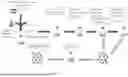 Fig. 02 - MODIFIED INFLUENZA VIRUSES