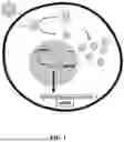 Fig. 02 - ENGINEERED ADENO-ASSOCIATED VIRUS CAPSIDS