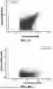 Fig. 04 - ENGINEERED ADENO-ASSOCIATED VIRUS CAPSIDS