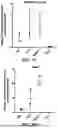 Fig. 06 - ENGINEERED ADENO-ASSOCIATED VIRUS CAPSIDS