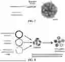 Fig. 09 - ENGINEERED ADENO-ASSOCIATED VIRUS CAPSIDS