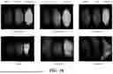 Fig. 19 - ENGINEERED ADENO-ASSOCIATED VIRUS CAPSIDS
