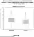 Fig. 07 - COMPOSITIONS, DEVICES, AND METHODS OF OSTEOARTHRITIS SENSITIVITY TESTING