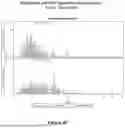 Fig. 16 - COMPOSITIONS, DEVICES, AND METHODS OF OSTEOARTHRITIS SENSITIVITY TESTING