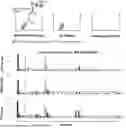 Fig. 01 - METHODS OF DETECTING OFF-TARGET BINDING OF PROTEINS