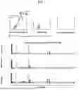Fig. 02 - METHODS OF DETECTING OFF-TARGET BINDING OF PROTEINS