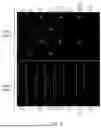 Fig. 04 - PROTEIN BINDING ASSAYS