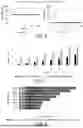 Fig. 08 - MACHINE LEARNING ACCELERATED SEMANTIC EQUIVALENCE DETECTION