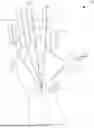 Fig. 01 - HAND POSE-DEPENDENT SCALE ESTIMATION FOR EXTENDED REALITY
