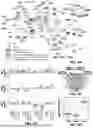 Fig. 05 - METHODS FOR IDENTIFYING TREATMENT TARGETS BASED ON MULTIOMICS DATA