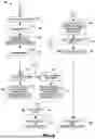 Fig. 11 - METHODS FOR IDENTIFYING TREATMENT TARGETS BASED ON MULTIOMICS DATA