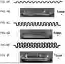 Fig. 06 - MICROSERPENTINES AND ELECTRODES FOR STRETCHABLE AND CONFORMABLE BIOSENSOR APPLICATIONS