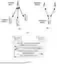 Fig. 02 - COMMUNICATION METHOD AND APPARATUS