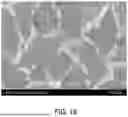 Fig. 19 - METHOD FOR MANUFACTURING PHOTOELECTRIC CONVERSION ELEMENT, PHOTOELECTRIC CONVERSION ELEMENT, AND PHOTOELECTRIC CONVERSION MATERIAL