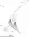 Fig. 02 - WHEELED GARDEN TOOL
