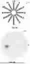 Fig. 08 - METHODS AND SYSTEMS FOR VIRTUAL REALITY LIGHT SENSITIVITY TESTING
