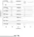 Fig. 09 - DEVICE AND METHOD FOR CONTINUOUS, NON-INVASIVE BLOOD PRESSURE MONITORING
