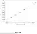 Fig. 10 - DEVICE AND METHOD FOR CONTINUOUS, NON-INVASIVE BLOOD PRESSURE MONITORING