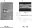 Fig. 24 - MULTI-WAVELENGTH PHOTOTHERAPY DEVICES, SYSTEMS, AND METHODS FOR THE NON-INVASIVE TREATMENT OF DAMAGED OR DISEASED TISSUE