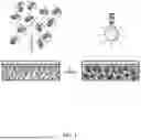 Fig. 02 - PHOTOSYNTHETIC CELLULAR SUBSTANCES AND METHODS OF USE THEREOF