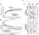 Fig. 06 - COMPOSITION FOR TREATING SPINAL CORD INJURY, COMPRISING STEM CELLS TREATED WITH NOVEL COMPOUND