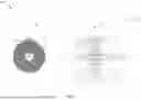 Fig. 06 - MINIATURIZED MAGNETOELECTRIC-BASED WIRELESS BIOIMPLANT