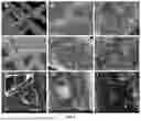 Fig. 05 - Palladium Copper Single-Atom Alloy Catalyst for Nitrate Reduction