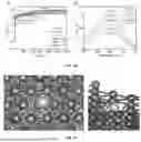Fig. 18 - Palladium Copper Single-Atom Alloy Catalyst for Nitrate Reduction