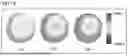 Fig. 12 - BACTERIAL INSPECTION APPARATUS AND BACTERIAL INSPECTION METHOD