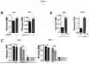 Fig. 02 - COMPOSITIONS FOR PROMOTING ACTIVATION OF BONE MARROW-DERIVED STEM CELLS COMPRISING CCL5