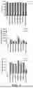 Fig. 07 - CONSTRUCT COMPRISING UTR SEQUENCE THAT IMPROVES INTRACELLULAR STABILITY AND BIOSYNTHESIS OF MRNA AND USE THEREOF