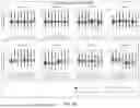 Fig. 09 - WHOLE BLOOD CRYOPRESERVATION AND PROCESSING METHOD FOR SINGLE-CELL RNA-SEQUENCING