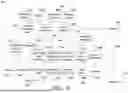 Fig. 11 - SYSTEM AND METHOD FOR ANONYMOUS AND SECURE SHARING OF MEDICAL IMAGES THROUGH A MESSAGING TOOL IN MEDICAL IMAGING PICTURE ARCHIVING AND COMMUNICATION SYSTEMS