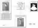 Fig. 08 - IMAGE EDITING USING PROMPT-AWARE CONTENT SEGMENTATION MASKS AND MASK-AWARE CONTENT-GENERATION
