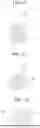 Fig. 11 - APPARATUS AND METHOD FOR MANUFACTURING SECONDARY BATTERY