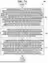 Fig. 08 - METHOD AND SYSTEM FOR A REAL-TIME MULTI-LAYER BIOMETRIC DATA COLLECTION AND VERIFICATION SYSTEM