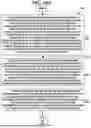 Fig. 24 - METHOD AND SYSTEM FOR A REAL-TIME MULTI-LAYER BIOMETRIC DATA COLLECTION AND VERIFICATION SYSTEM