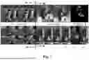 Fig. 02 - Uncertainty-Guided Frame Interpolation for Video Rendering