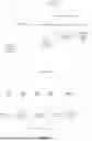 Fig. 02 - CELLULAR USER IMMUNITY
