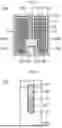 Fig. 07 - SEMICONDUCTOR DEVICE