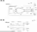 Fig. 03 - BANDWIDTH FOR WIREBOND INTEGRATED CIRCUIT PACKAGE
