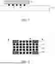 Fig. 02 - STACKED PACKAGE STRUCTURE AND FORMING METHOD THEREOF