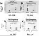 Fig. 49 - SYSTEMS AND METHODS FOR UTERINE PERISTALSIS IMAGING