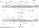 Fig. 08 - PROSTHETIC HEART VALVES WITH EXPANSION AND LOCKING ASSEMBLIES