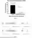 Fig. 02 - DEXTROAMPHETAMINE AND LISDEXAMFETAMINE TO REVERSE DEXMEDETOMIDINE SEDATION