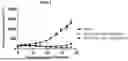 Fig. 01 - CD70 ANTIBODY DRUG CONJUGATES AND METHODS OF USING THE SAME