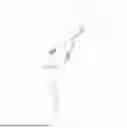 Fig. 01 - MULTIFUNCTIONAL SUSPENDED WEBBING TRAINING EQUIPMENT