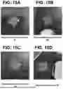 Fig. 30 - SYSTEMS AND METHODS FOR FABRICATING BIOPRINTED FIBER STRUCTURES