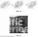 Fig. 06 - BACTERIAL CELLULOSE GELS, PROCESS FOR PRODUCING AND METHODS FOR USE
